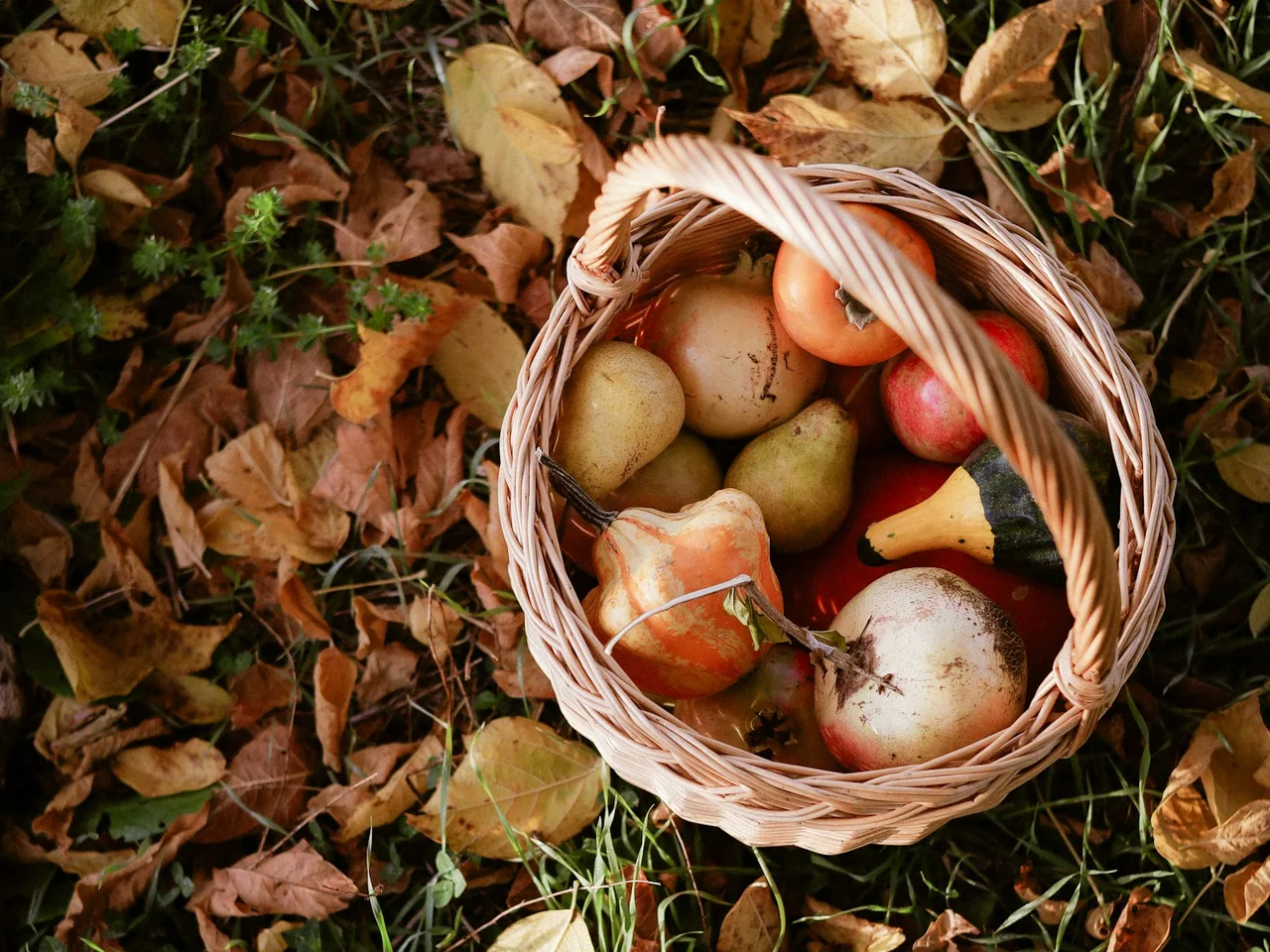 A wicker basket of late-season produce resting among fallen autumn leaves.